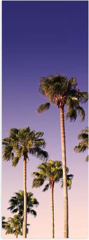 WallClassics - Poster (Mat) - Palmboomtoppen in de lucht - 30x90 cm Foto op Posterpapier met een Matte look