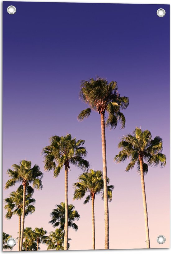 WallClassics - Tuinposter – Palmboomtoppen in de lucht - 40x60 cm Foto op Tuinposter  (wanddecoratie voor buiten en binnen)