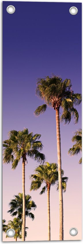 WallClassics - Tuinposter – Palmboomtoppen in de lucht - 20x60 cm Foto op Tuinposter  (wanddecoratie voor buiten en binnen)