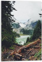 WallClassics - Acrylglas - Liggende Boomstronken in Berggebied met Mist - 50x75 cm Foto op Acrylglas (Wanddecoratie op Acrylaat)