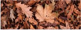 WallClassics - Poster Glossy - Pile of Autumn Leaves - 60x20 cm Photo sur Papier Poster avec Finition Brillante