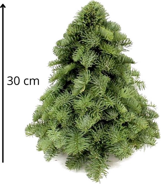 Kerstboom - Echte Kerstboom - 30 cm - Nobilis groen - Natuurlijk Bloemen