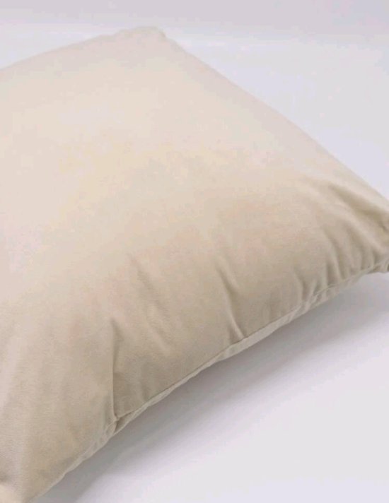 Paw Patrol Marshall Pillow Case