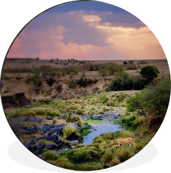 WallCircle - Wandcirkel - Muurcirkel - Landschap met een rivier bij het Masai Mara gebied in Kenia - Aluminium - Dibond - ⌀ 30 cm - Binnen en Buiten