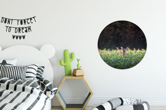 WallCircle - Cercle mural - Cercle mural - Cerfs - Plantes - Forêt - Aluminium - Dibond - ⌀ 60 cm - Intérieur et Extérieur