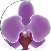 Une illustration d'une orchidée violette sur fond blanc Cercle mural aluminium ⌀ 30 cm - tirage photo sur cercle mural / cercle vivant / cercle de jardin (décoration murale)