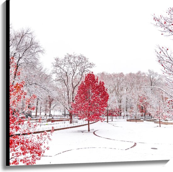 WallClassics - Canvas  - Rode Boom in Witte Sneeuw - 100x100 cm Foto op Canvas Schilderij (Wanddecoratie op Canvas)