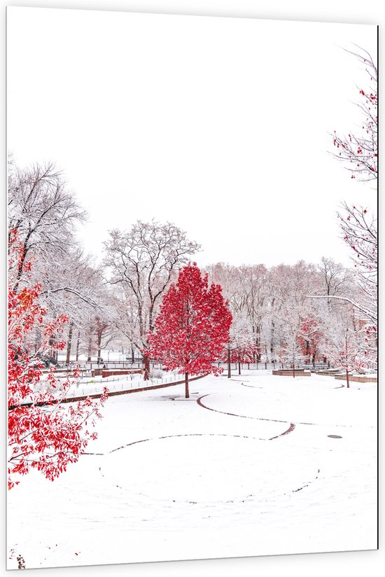 WallClassics - PVC Schuimplaat- Rode Boom in Witte Sneeuw - 100x150 cm Foto op PVC Schuimplaat