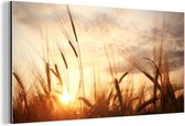 Wanddecoratie Metaal - Aluminium Schilderij Industrieel - Riet - Gras - Zonsondergang - Natuur - Horizon - 120x60 cm - Dibond - Foto op aluminium - Industriële muurdecoratie - Voor de woonkamer/slaapkamer