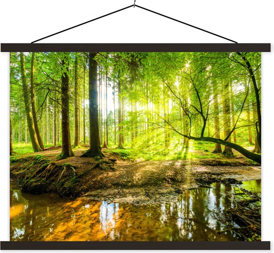Posterhanger incl. Poster 60x45 cm - Schoolplaat - Bos - Landschap - Water - Bomen - Zon - Groen - Natuur - Textielposter - Zwarte latten