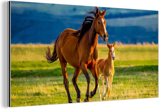 Wanddecoratie Metaal - Aluminium Schilderij Industrieel - Paarden - Gras - Dieren - Landschap - Natuur - 120x60 cm - Dibond - Foto op aluminium - Industriële muurdecoratie - Voor de woonkamer/slaapkamer