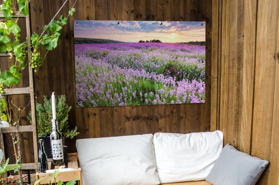 Een tuinposter van een weids lavendelveld bij zonsondergang, opgehangen aan een houten schutting boven een bankje.