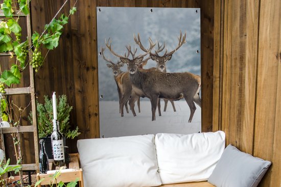 Affiche jardin - Toile jardin - Posters de jardin extérieur - Cerf - Animaux - Neige - Hiver - Paysage - Nature - 90x120 cm - Jardin