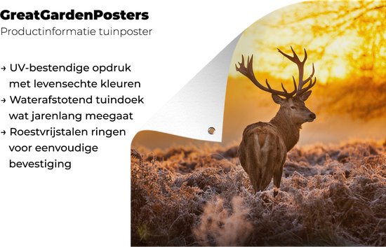 Een hert met imposante geweien kijkt naar de zonsondergang. De poster is UV-bestendig, waterafstotend en heeft roestvrijstalen ringen.