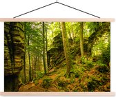 Posterhanger incl. Poster 120x80 cm - Schoolplaat - Bomen - Steen - Bos - Natuur - Planten - Textielposter - Blanke latten