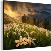 Wanddecoratie Metaal - Aluminium Schilderij Industrieel - Bloemenveld - Heuvels - Zonsondergang - Berg - Natuur - Wit - Heuvels - 120x90 cm - Dibond - Foto op aluminium - Industriële muurdecoratie - Voor de woonkamer/slaapkamer