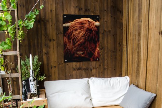 Tableau de jardin Scottish Highlander - Vache - Cornes - Portrait - Animaux - 60x80 cm - Affiche jardin - Toile jardin - Affiche extérieur