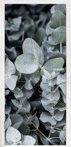 Deursticker Natuur - Planten - Eucalyptus - Bladeren - 75x205 cm - Deurposter