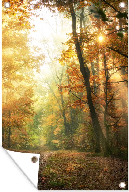 Tableau Mural Vintage - Forêt D'Automne Avec Rayons De Soleil - Toile Sur Châssis - Neuf