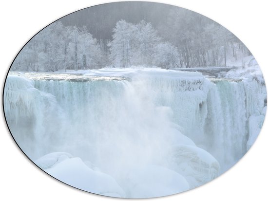 WallClassics - Dibond Ovaal - Witte Winter Waterval - 68x51 cm Foto op Ovaal (Met Ophangsysteem)