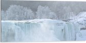 WallClassics - Dibond - Witte Winter Waterval - 100x50 cm Foto op Aluminium (Wanddecoratie van metaal)