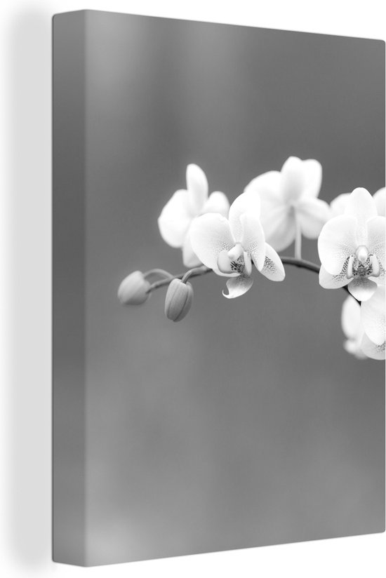 Canvas Schilderij Orchidee - Bloemen - Plant - Wit - Paars - 60x80 cm - Wanddecoratie