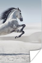 Poster Paard - Dieren - Zand - Natuur - 20x30 cm
