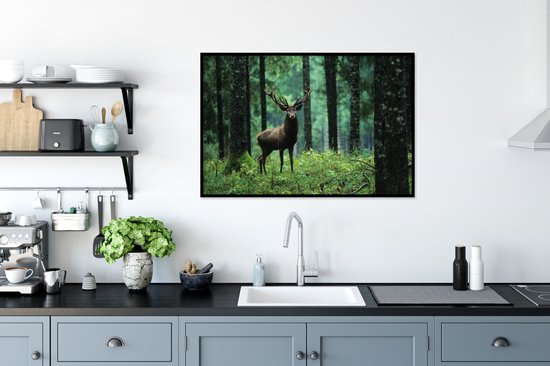 Cadre photo avec affiche - Cerf - Forêt - Arbres - Animaux - Nature - 90x60 cm - Cadre pour affiche