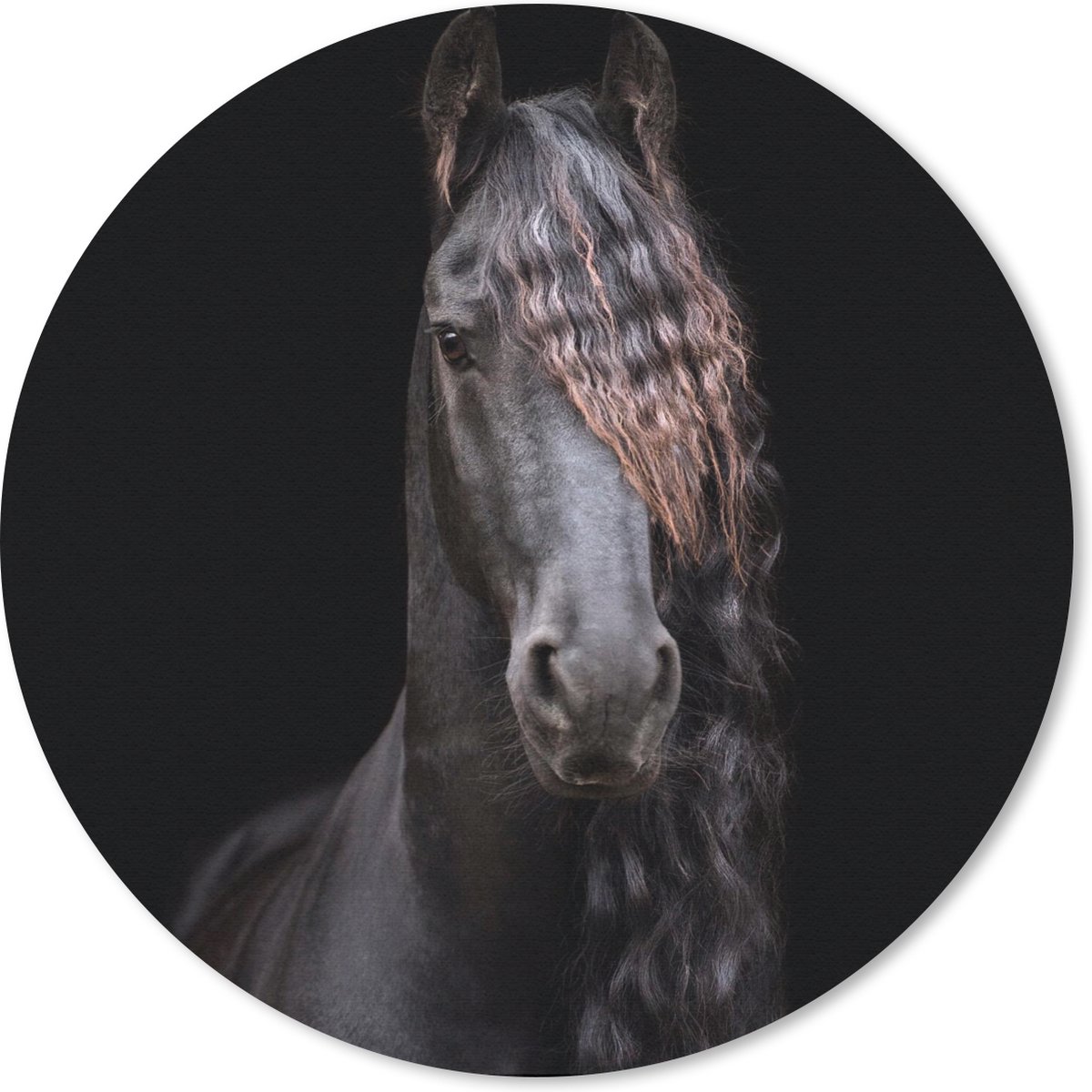 Muismat rond 40x40 cm - Mousepad Paarden - Fries - Manen - Zwart - Dieren - Ronde muismatten