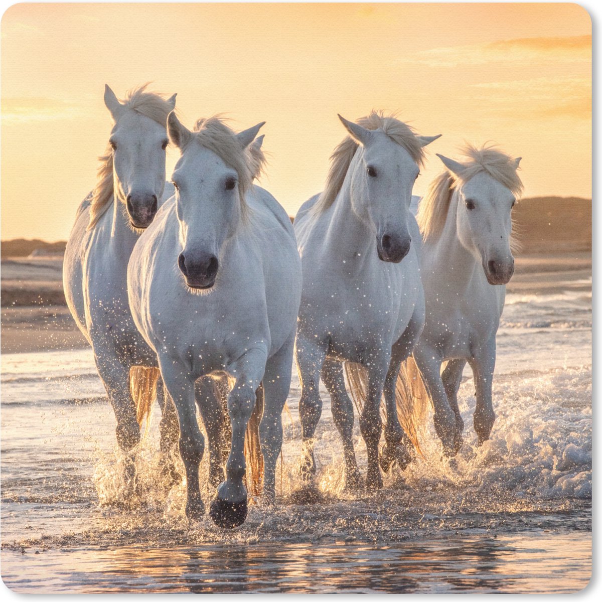 Muismat 20x20 cm - Mousepad Paarden - Water - Strand - Dieren - Muismatten