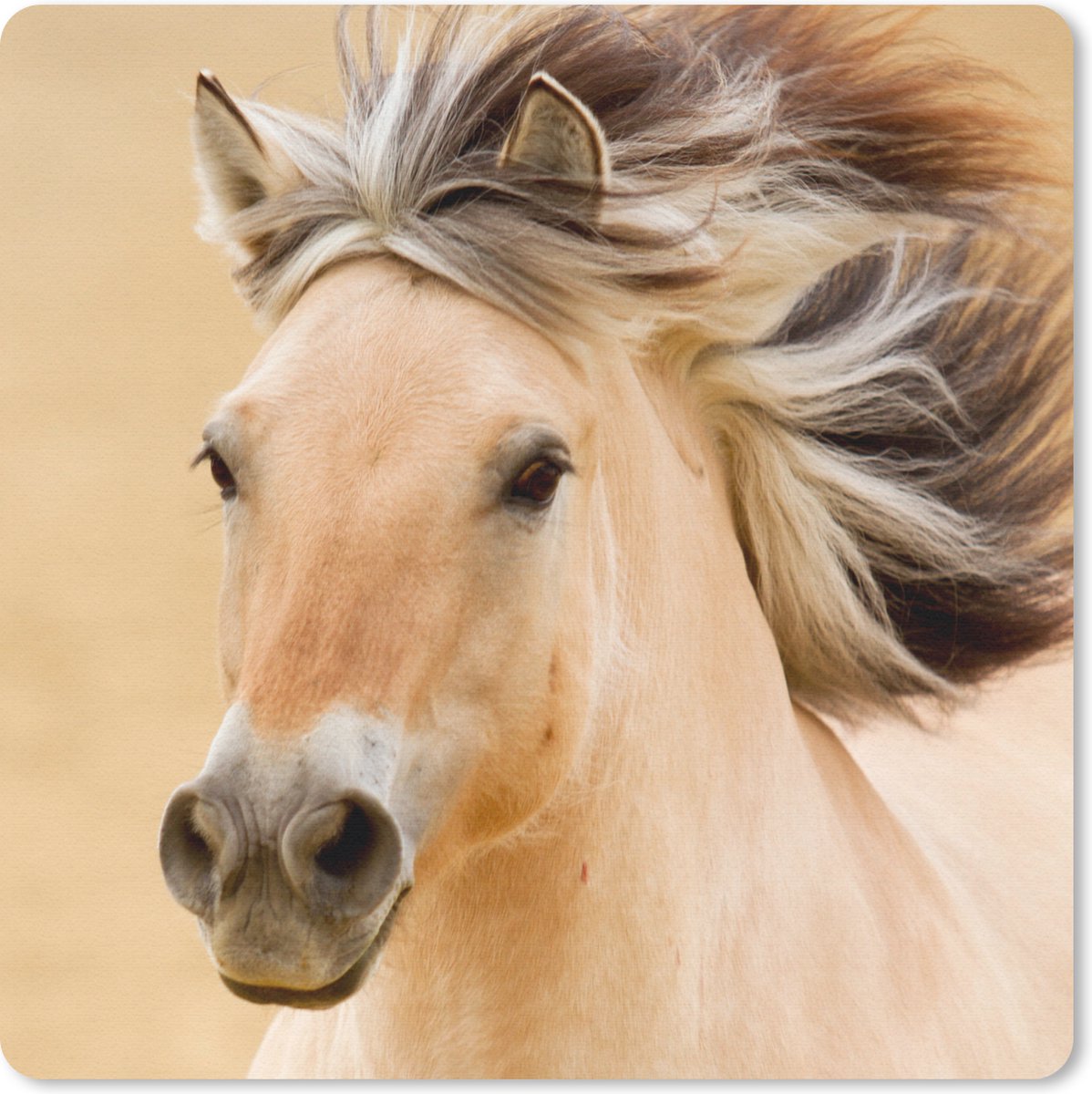 Muismat 30x30 cm - Mousepad Paarden - Dieren - Manen - Portret - Muismatten