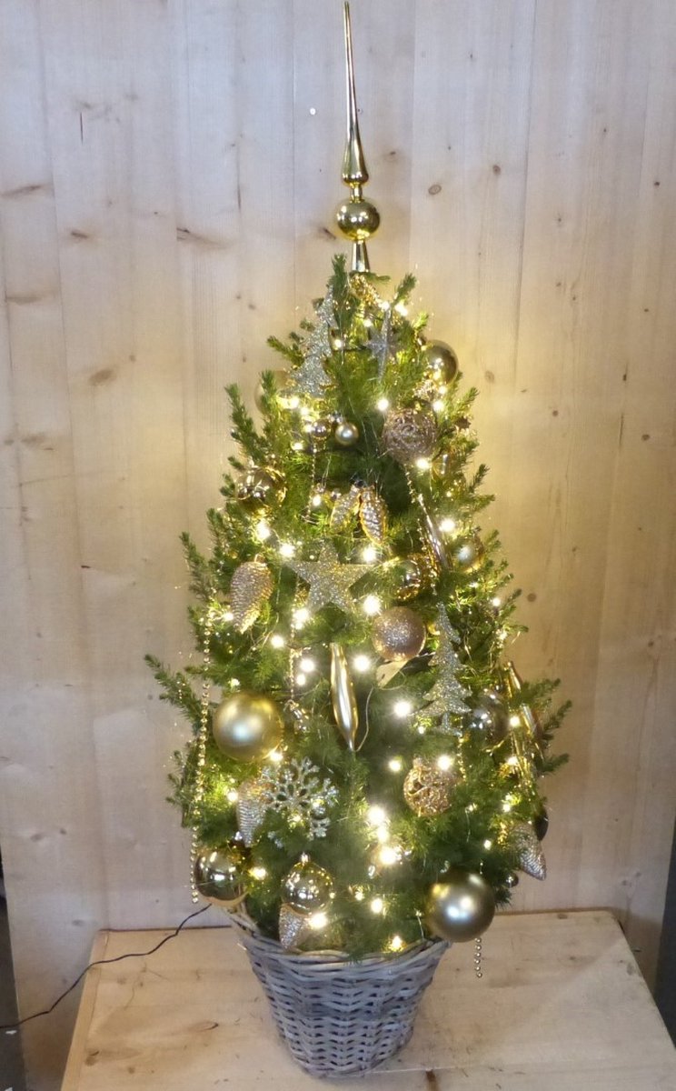 Warentuin Natuurlijk Echte kerstboom in mand met verlichting goud h130 Warentuin Natuurl