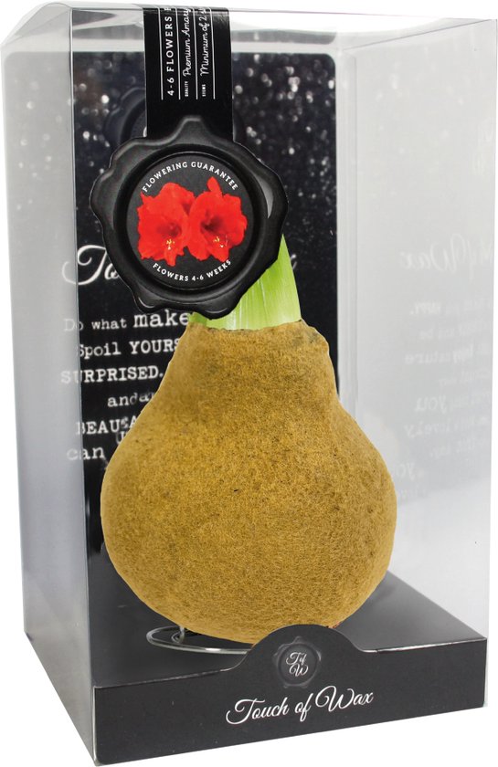 Menukaart feestelijk goud confetti stijlvol