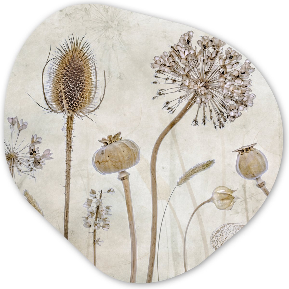 Organische wanddecoratie 40x40 cm - Organisch schilderij Bloemen - Waterverf - Stilleven - Bruin - Vintage - Muurdecoratie woonkamer - Kamer decoratie - Schilderijen - Muurcirkel aesthetic