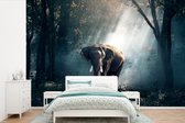 Behang - Fotobehang Olifant - Dieren - Licht - Bos - Natuur - Wilde dieren - Breedte 330 cm x hoogte 220 cm