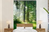 Behang - Fotobehang Natuur - Bomen - Bos - Groen - Zon - Gras - Planten - Breedte 155 cm x hoogte 240 cm