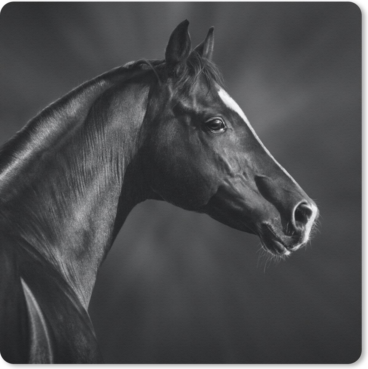 Muismat 20x20 cm - Mousepad Paard - Dieren - Zwart - Wit - Portret - Muismatten