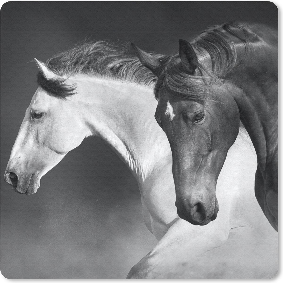 Muismat 20x20 cm - Mousepad Paarden - Dieren - Zwart - Wit - Portret - Muismatten