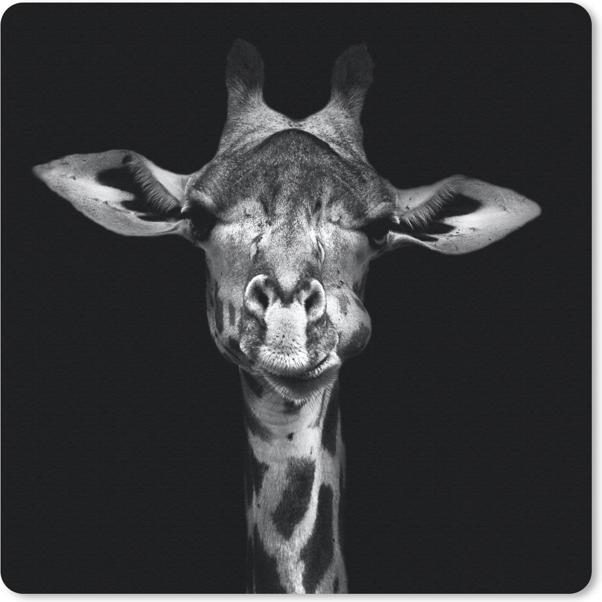 Muismat 30x30 cm - Mousepad Giraffe - Portret - Dieren - Zwart - Wit - Muismatten