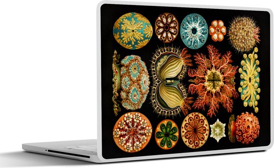 Foto: Laptop sticker 15 6 inch vintage ernst haeckel zeedier natuur zee kunst 36x27 5cm laptopstickers laptop skin cover