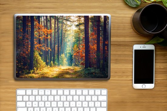 Autocollant pour ordinateur portable - 13,3 pouces - Forêt - Soleil - Nature - Automne - 31x22,5 cm - Autocollants pour ordinateur portable - Skin pour ordinateur portable - Housse