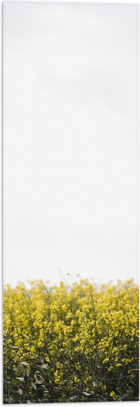 WallClassics - Drapeau - Champ de Colza Jaune - Photo 20x60 cm sur Drapeau Polyester