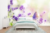 Behang - Fotobehang Lavendel - Vlinder - Bloemen - Breedte 435 cm x hoogte 260 cm