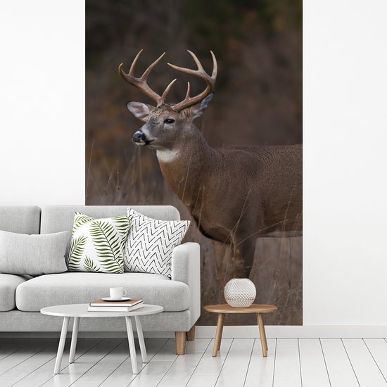 Behang - Fotobehang Herfst - Hert - Gras - Natuur - Dieren - Breedte 225 cm x hoogte 350 cm