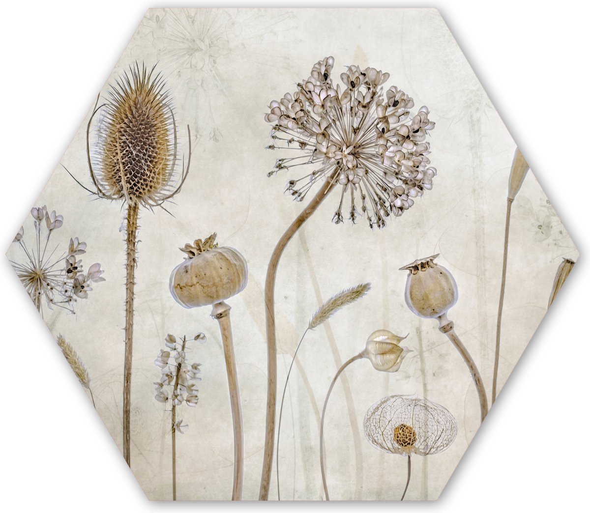Hexagon wanddecoratie - Kunststof Wanddecoratie - Hexagon Schilderij - Bloemen - Waterverf - Stilleven - Bruin - Vintage - 37x32 cm