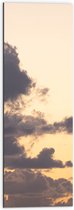 WallClassics - Dibond - Witte Stapelwolk  - 30x90 cm Foto op Aluminium (Met Ophangsysteem)