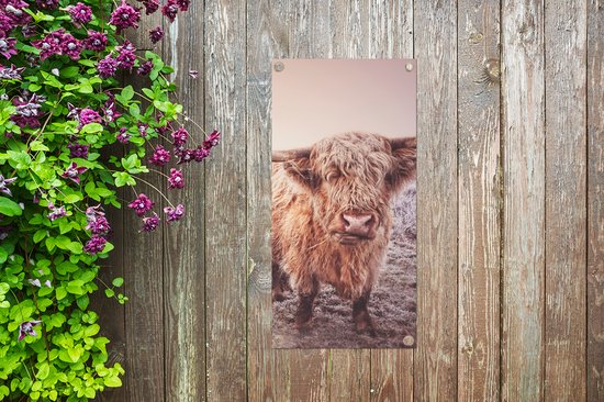 Poster de jardin Highlanders écossais - Lumière - Air - Nature - 40x80 cm - Décoration murale Outdoor - Poster de jardin - Toile de jardin - Poster de clôture - Tableau de jardin