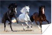 Poster Paarden - Dieren - Zand - 60x40 cm