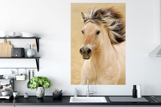 Affiche Cheval - Animal - Crinière - Portrait - 80x120 cm