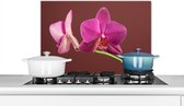 Spatscherm keuken - Orchidee - Groen - Roze - Bloemen - Spatwand keuken - Achterwand keuken - 70x50 cm